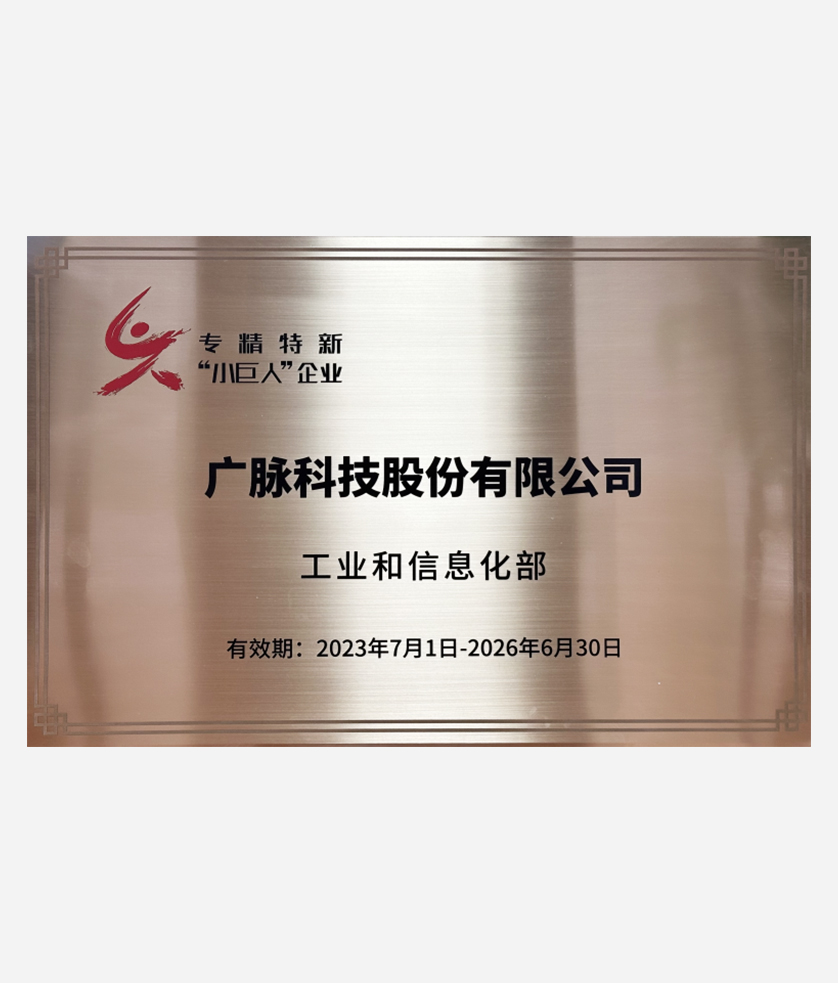 国家级专精特新“小巨人”企业